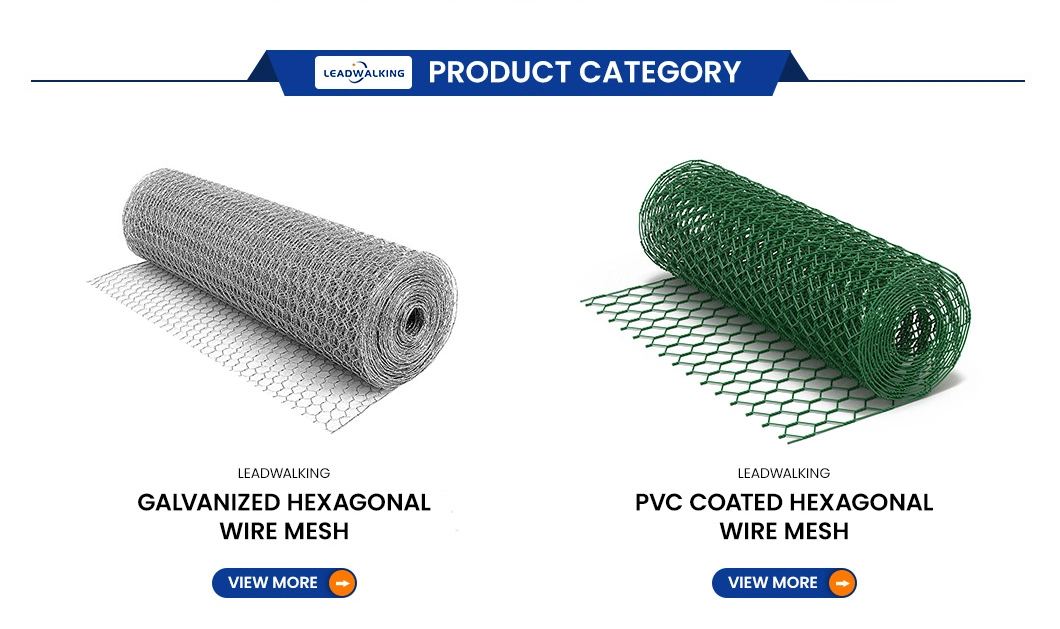 Leadwalking PVC Wire Material PVC Coated Hexagonal Chicken Wire Suppliers China 100mm Mesh 1-Inch Galvanized Hexagonal Wire Mesh